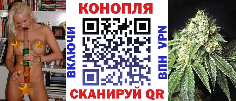 Бошки Шишки VHQ закладка Шарья